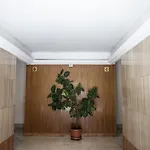 Affittacamere Il Magnificus Boutique 4*